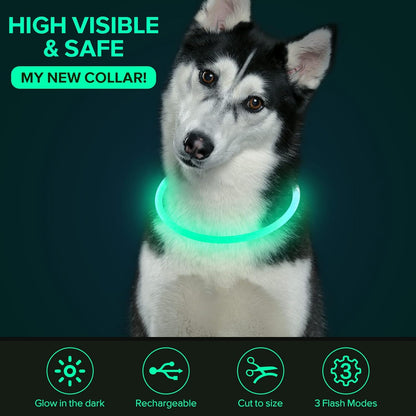 LED Dog Collar Light up Dog Collars 1 Count USB Rechargeable TPU Glow Safety Basic Dog Collars for Large Medium Small Dogs (Cyan)