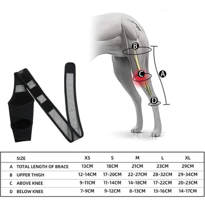 Pet Dog Knee Brace for Joint Pain Muscle Sore Leg Brace Rear Leg Bracer Support for Elderly Disabled Injured Dogs